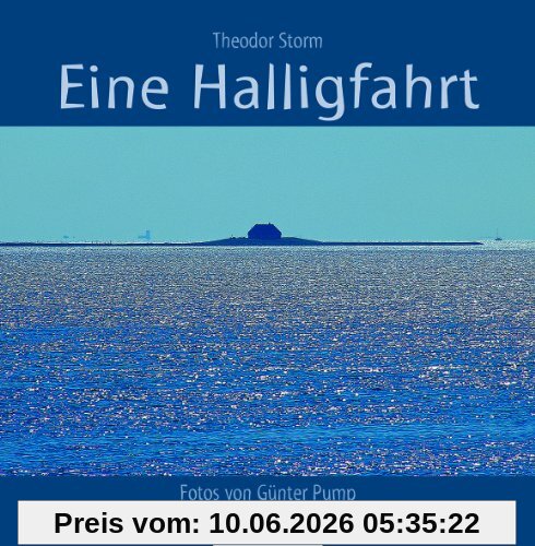 Eine Halligfahrt: Novelle