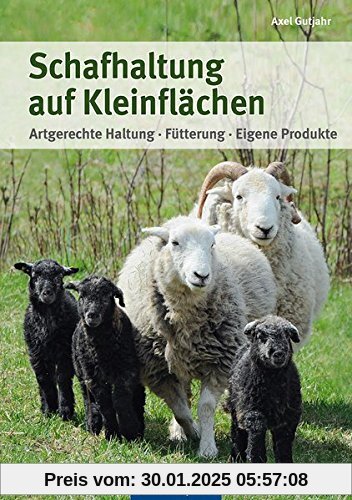 Schafhaltung auf Kleinflächen: Artgerechte Haltung, Fütterung, eigene Produkte