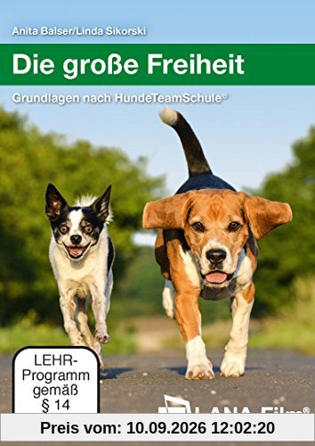 Die große Freiheit: Grundlagen nach HundeTeamSchule®
