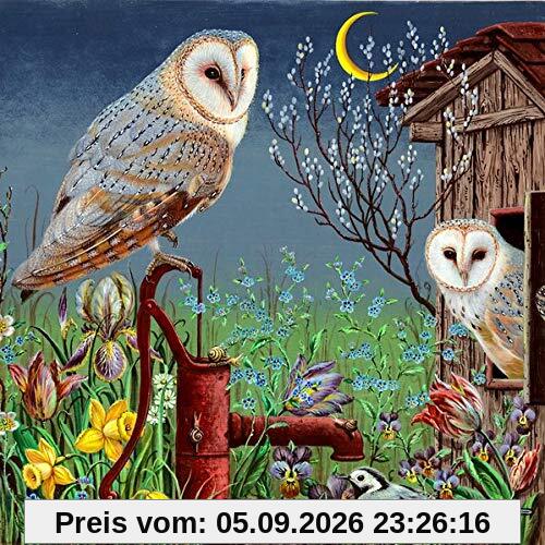 Kleine Vogel-Wunderkammer
