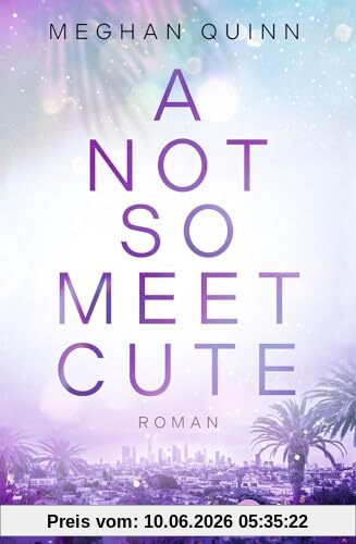 A Not So Meet Cute: Roman (Cane Brothers, Band 1)