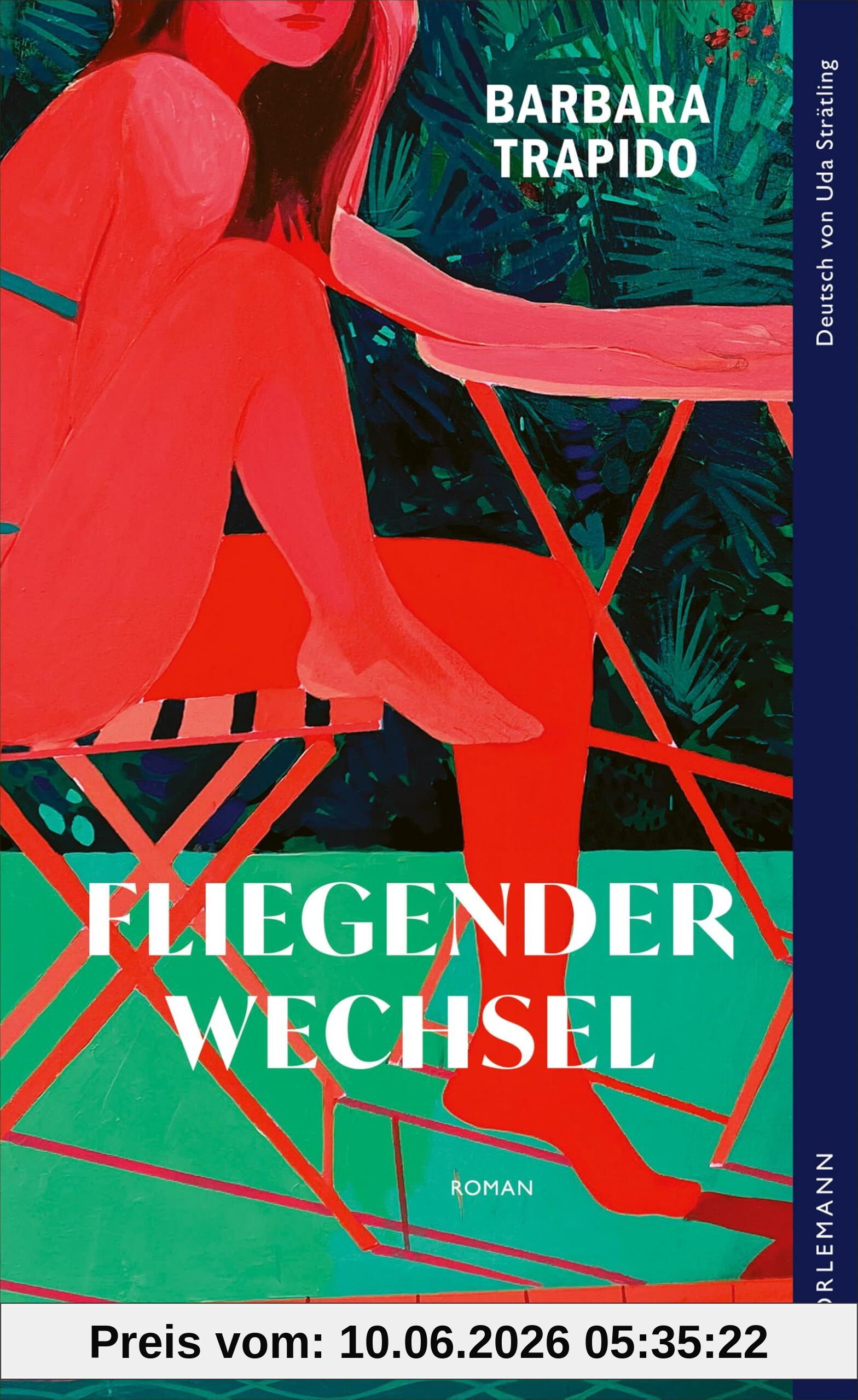 Fliegender Wechsel: Roman