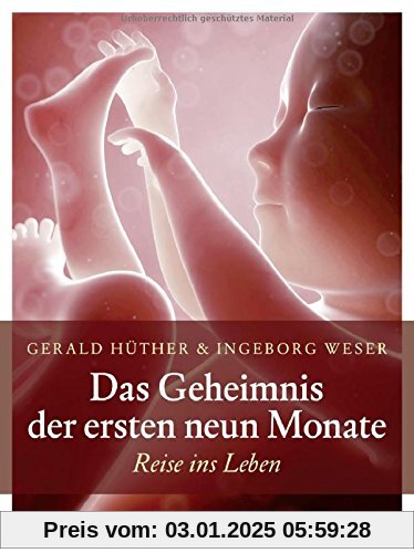 Das Geheimnis der ersten neun Monate: Reise ins Leben