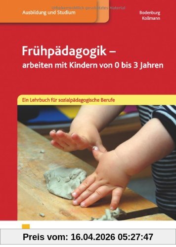 Frühpädagogik - arbeiten mit Kindern von 0-3 Jahren. Ein Lehrbuch für sozialpädagogische Berufe: Ein Lehrbuch für sozialpädagogische Berufe Lehr-/Fachbuch