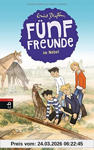 Fünf Freunde im Nebel (Einzelbände, Band 17)