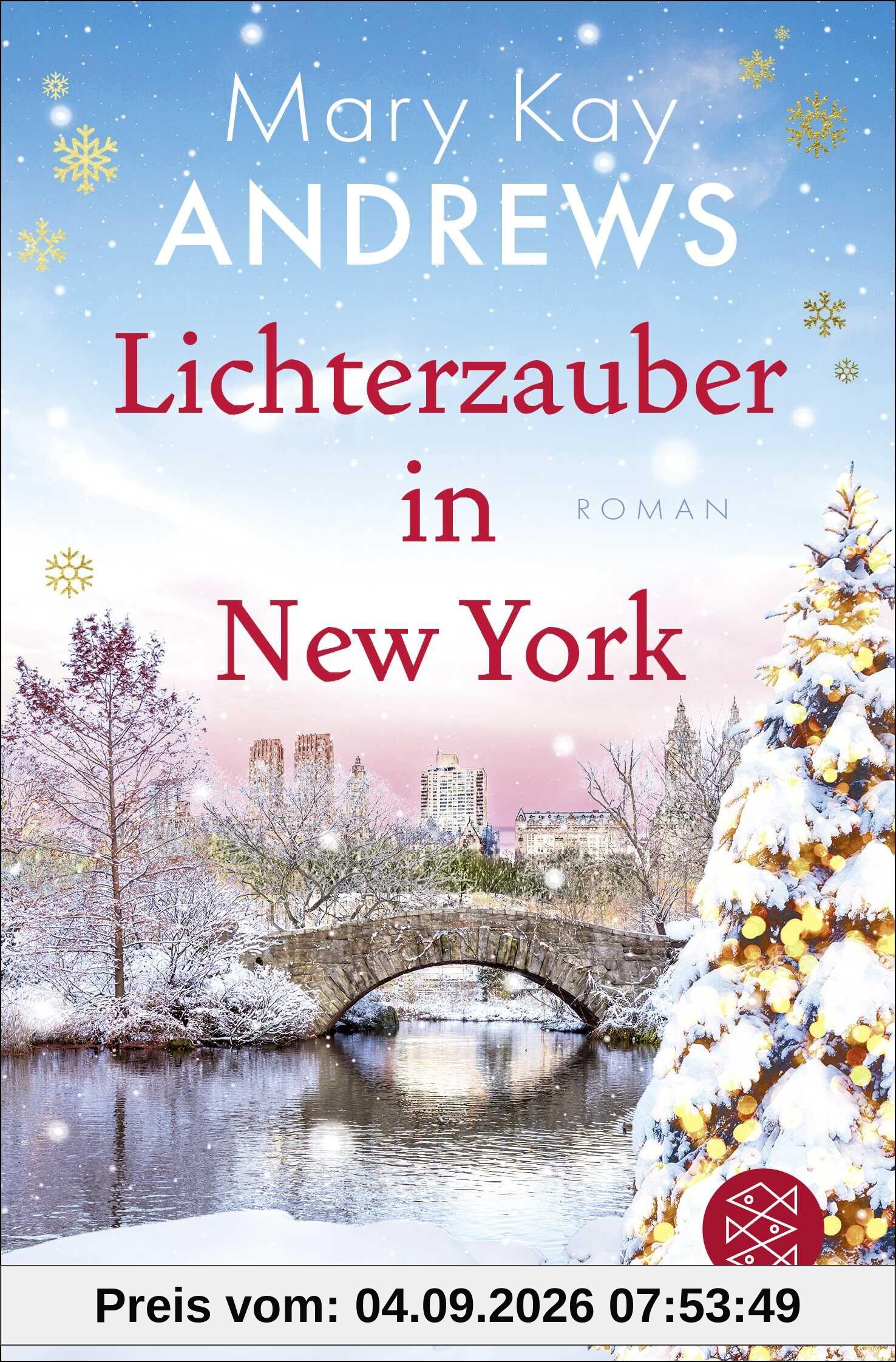 Lichterzauber in New York: Romantische Weihnachtszeit in New York (Die Winterbuchreihe, Band 4)