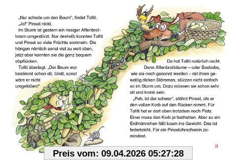 Tafiti und das schlecht gelaunte Nashorn (Band 11)