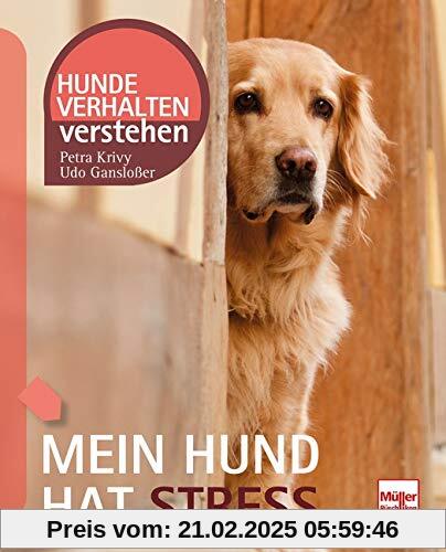 Mein Hund hat Stress