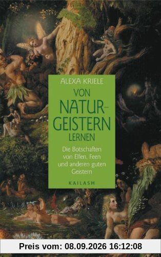 Von Naturgeistern lernen: Die Botschaften von Elfen, Feen und anderen guten Geistern