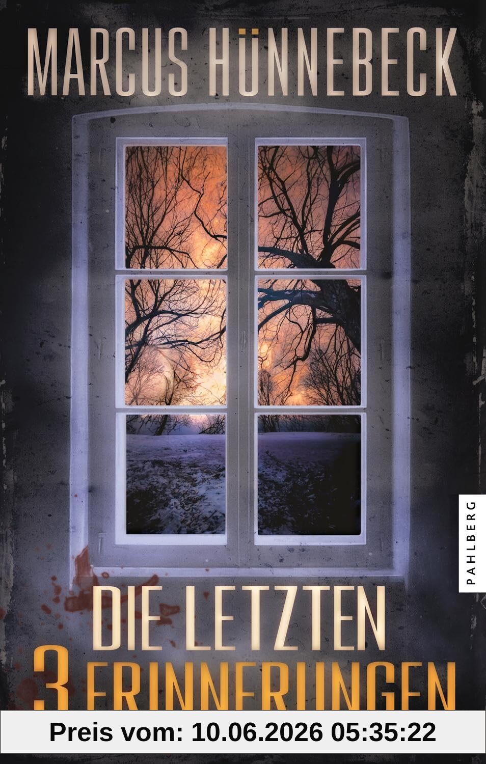 Die letzten 3 Erinnerungen: Thriller