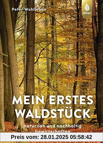 Mein erstes Waldstück: Naturnah und nachhaltig bewirtschaften