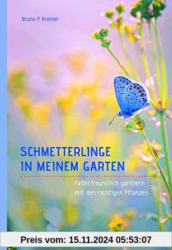 Schmetterlinge in meinem Garten: Falterfreundlich gärtnern mit den richtigen Pflanzen