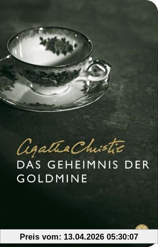 Das Geheimnis der Goldmine (Fischer Taschenbibliothek)