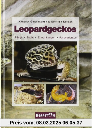 Leopardgeckos: Pflege, Zucht, Erkrankungen, Farbvarianten