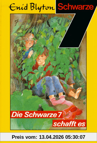 Die Schwarze Sieben, Bd.7, Die Schwarze Sieben schafft es