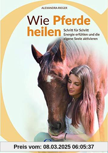 Wie Pferde heilen: Schritt für Schritt Energie erfühlen und die eigene Seele aktivieren