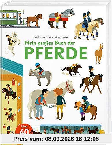 Mein großes Buch der Pferde: Über 40 Klappen und Spielelemente