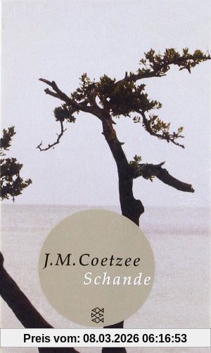 Coetzee, J. M. Schande, Roman (Fischer Taschenbibliothek)