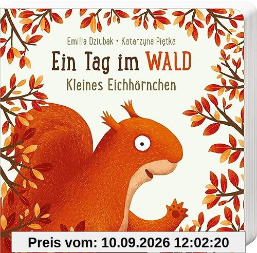 Ein Tag im Wald: Kleines Eichhörnchen: Erstes Pappbilderbuch zum Bilderbuchbestseller Ein Jahr im Wald für Kinder ab 18 Monaten