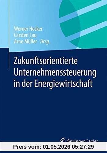 Zukunftsorientierte Unternehmenssteuerung in der Energiewirtschaft