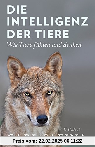 Die Intelligenz der Tiere: Wie Tiere fühlen und denken