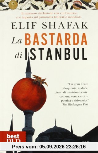 La bastarda di Istanbul