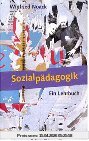 Sozialpädagogik: Ein Lehrbuch