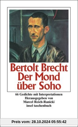 Der Mond über Soho: 66 Gedichte mit Interpretationen (insel taschenbuch)