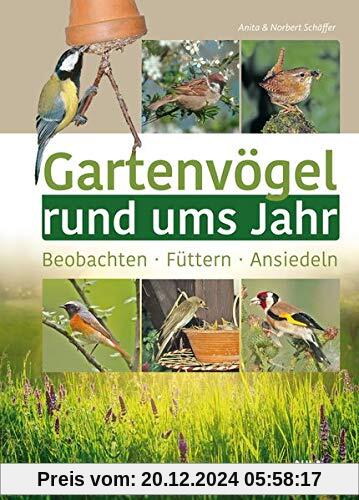 Gartenvögel rund ums Jahr: Beobachten – Füttern – Ansiedeln