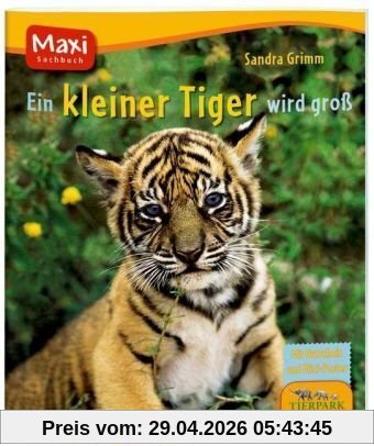 Ein kleiner Tiger wird groß