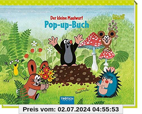Mini-Pop-Up-Buch Der kleine Maulwurf: 18 x 14 cm