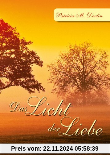 Das Licht der Liebe: Mein Engel soll dir vorangehen