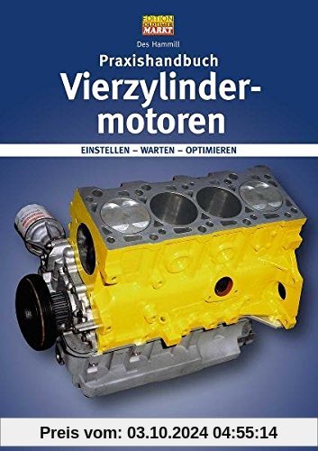 Praxishandbuch Vierzylinder-Motoren: Einstellen - Warten - Optimieren