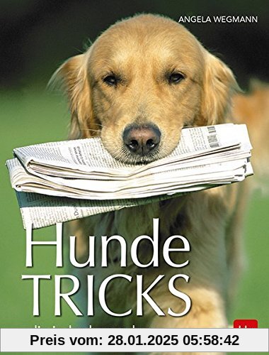 Hundetricks: die jeder lernen kann