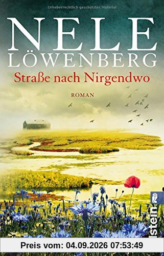 Straße nach Nirgendwo: Roman (Sheridan-Grant-Serie, Band 2)