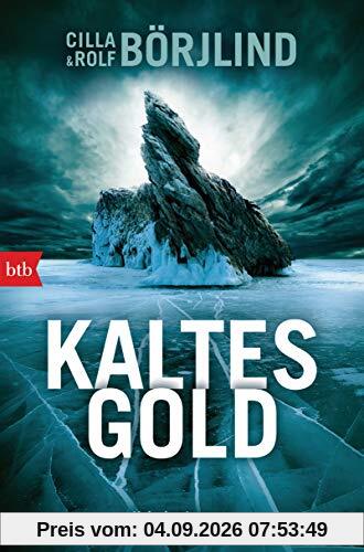 Kaltes Gold: Kriminalroman (Die Rönning/Stilton-Serie, Band 6)
