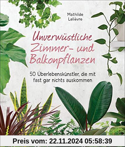 Unverwüstliche Zimmer- und Balkonpflanzen: 50 Überlebenskünstler, die mit fast gar nichts auskommen