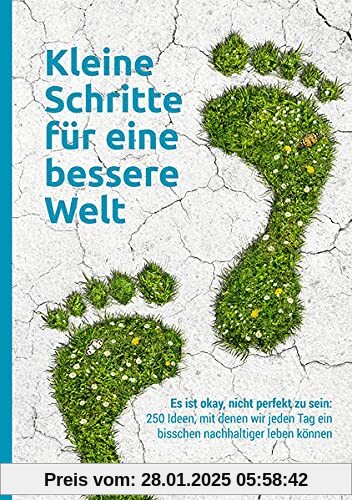 Kleine Schritte für eine bessere Welt: Es ist okay, nicht perfekt zu sein: 250 Ideen, mit denen wir jeden Tag ein bissch