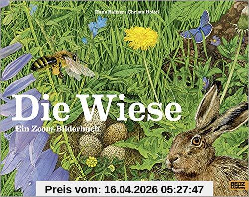 Die Wiese: Ein Zoom-Bilderbuch