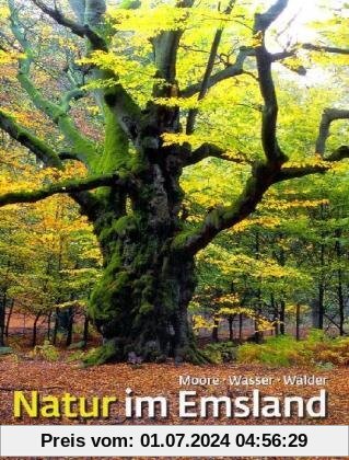 Natur im Emsland: Moore, Wasser, Wälder