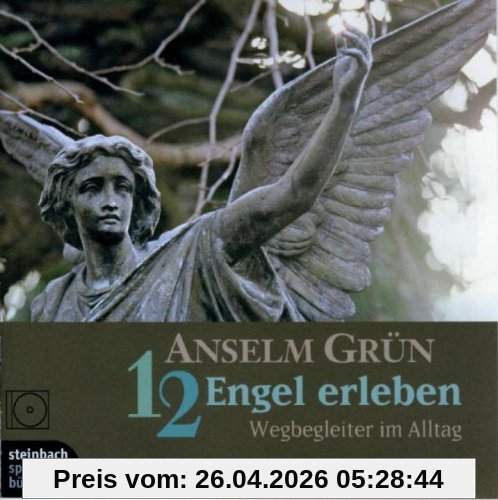 12 Engel erleben. CD: Wegbegleiter im Alltag