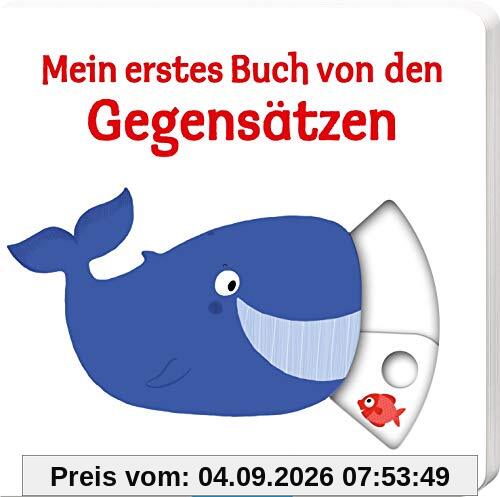 Mein erstes Buch von den Gegensätzen
