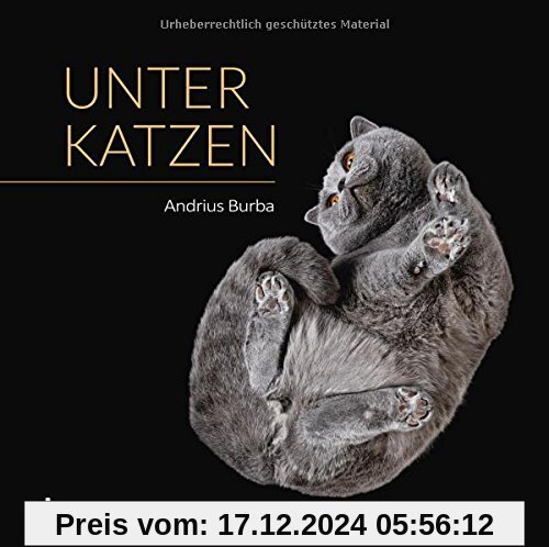 Unter Katzen