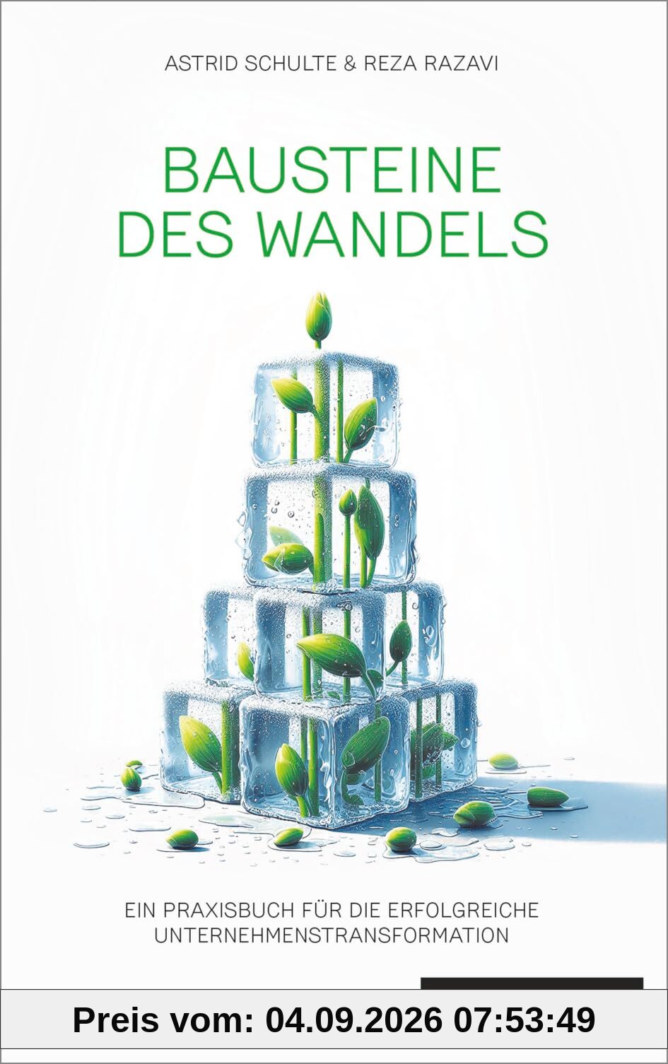 Bausteine des Wandels: Ein Praxisbuch für die erfolgreiche Unternehmenstransformation