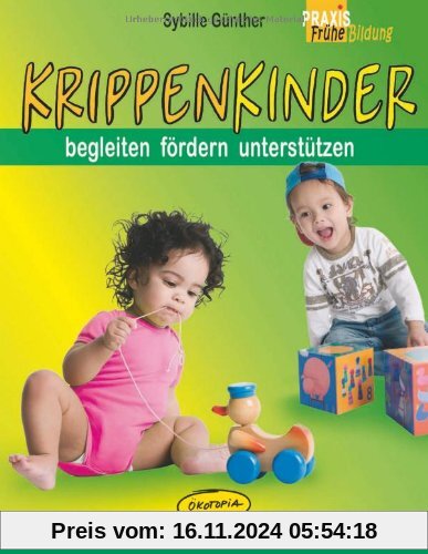 Krippenkinder begleiten, fördern, unterstützen: Über 200 gezielte, spielerische Angebote für Kinder von 0 bis 3 Jahren