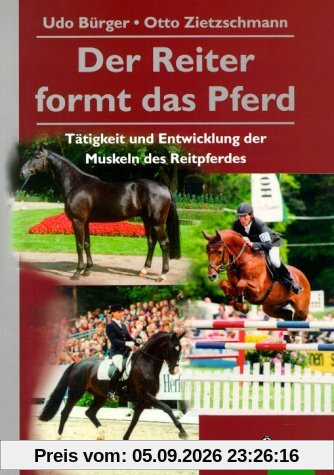 Der Reiter formt das Pferd: Tätigkeit und Entwicklung der Muskeln des Reitpferdes