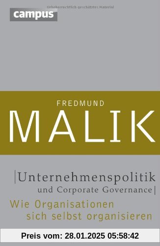 Unternehmenspolitik und Corporate Governance: Wie Organisationen sich selbst organisieren (Management: Komplexität meist