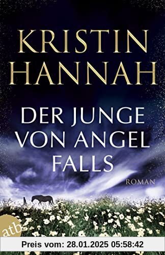 Der Junge von Angel Falls: Wenn Engel schweigen