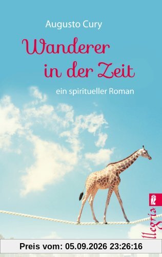 Wanderer in der Zeit: ein spiritueller Roman
