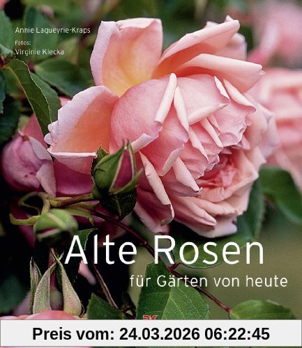 Alte Rosen für Gärten von heute